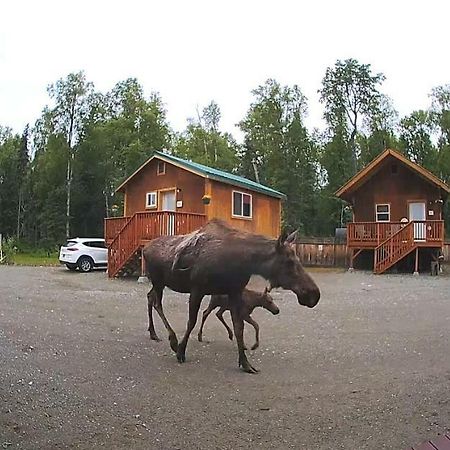 Talkeetna Love-Lee Cabins Hotel Bagian luar foto